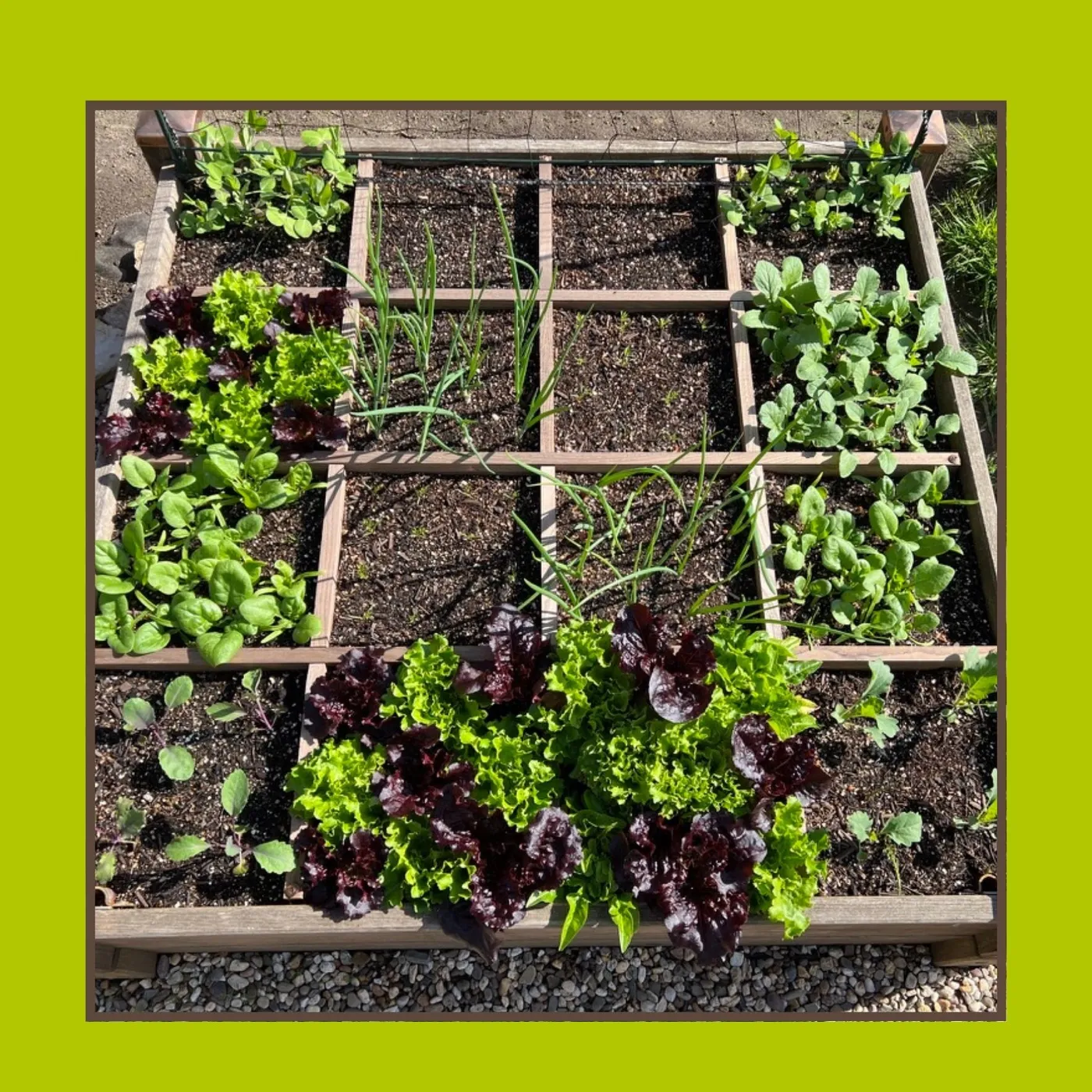 Dasselbe Quadratbeet im April