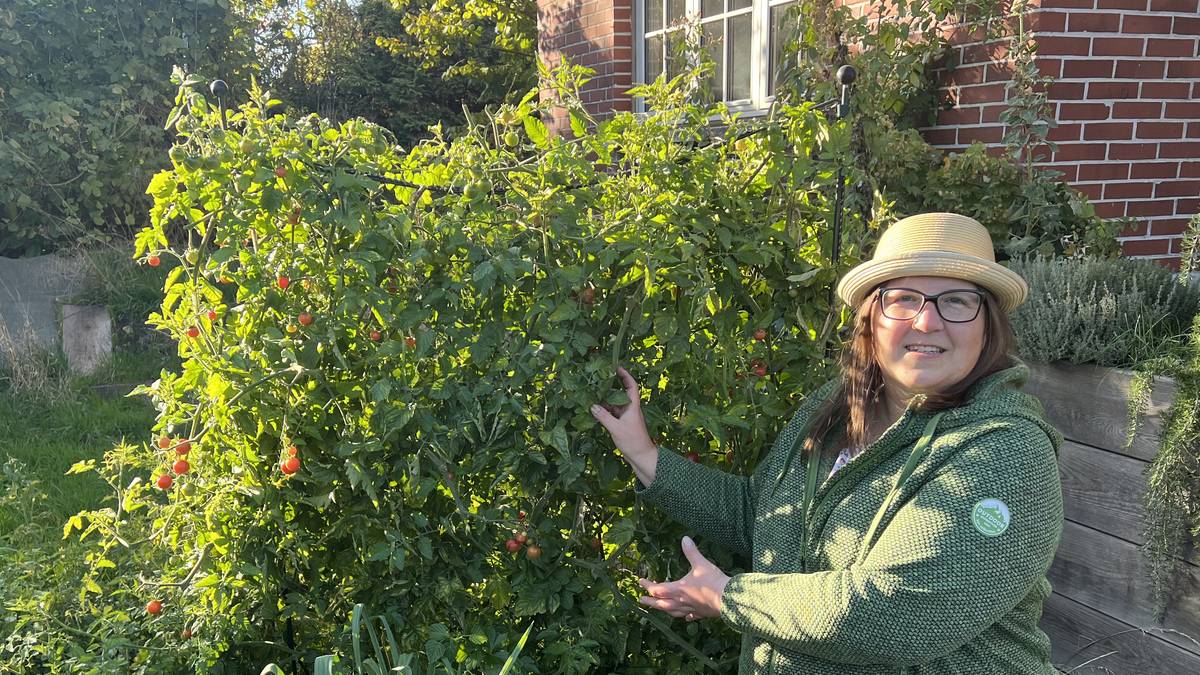 Eine Person mit Brille, gelbem Hut und grüner Jacke steht neben einer großen Tomatenpflanze mit reifen roten Tomaten und deutet fröhlich darauf. Hinter ihr befinden sich ein Hochbeet und ein Backsteingebäude, im Hintergrund sind Grünpflanzen und Sonnenlicht zu sehen.