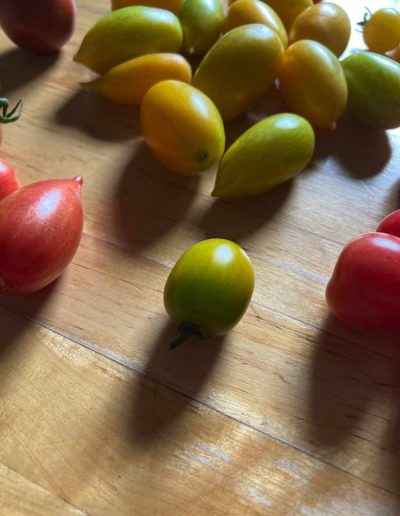 Gelbe, grüne und rote Tomaten