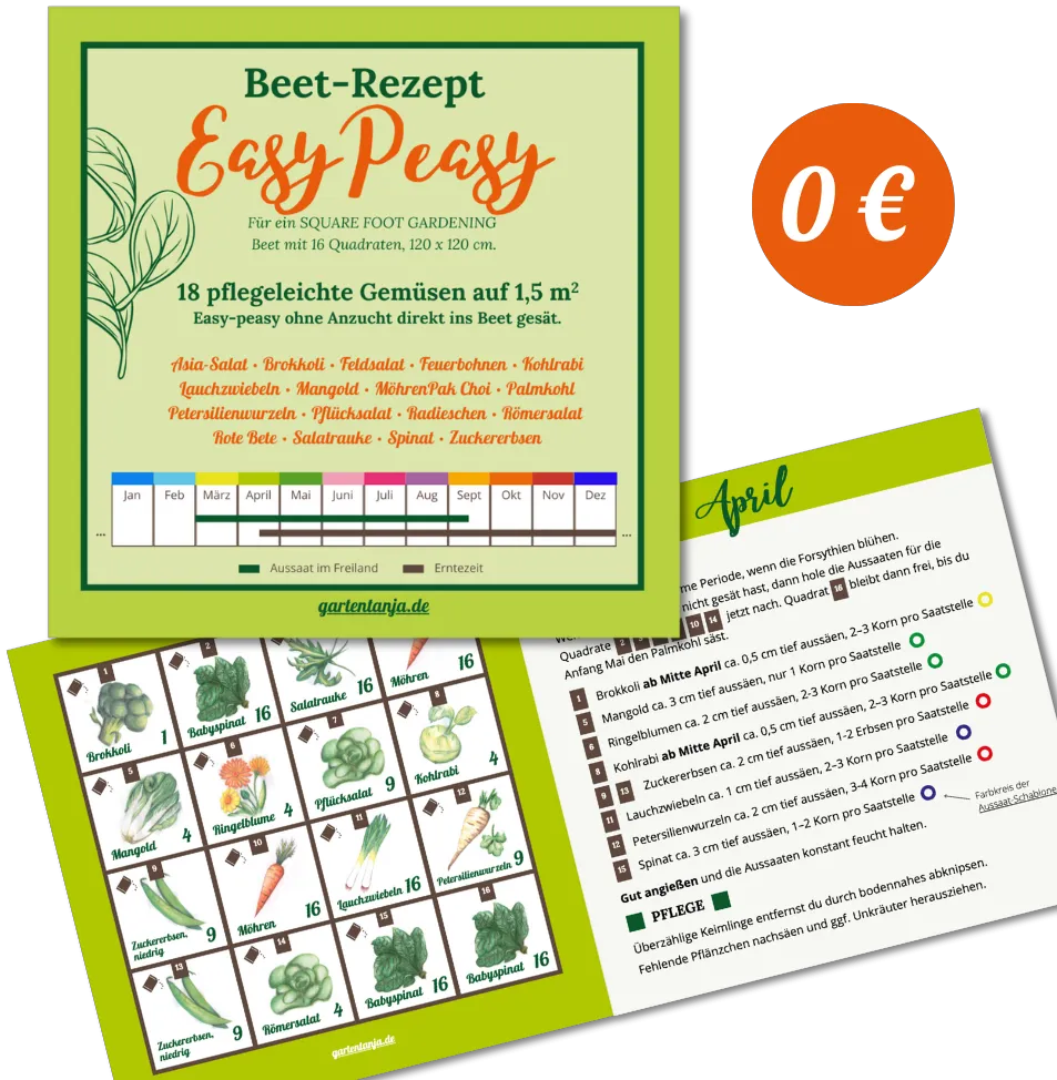 Ein deutscher Gartenratgeber mit dem Titel "Beet-Rezept Easy Peasy" mit einer illustrierten Tabelle für die Anpflanzung von 18 pflegeleichten Gemüsesorten in einem 1,5 m² großen Quadratfußgarten. Das Design ist grün, mit Pflanzenskizzen und einer Vorschau auf einen detaillierten Pflanzkalender für April.