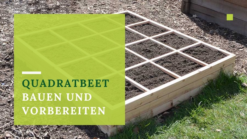 Ein hölzernes, quadratisches Gartenbeet mit einem Gitter, das den Boden in gleiche Abschnitte unterteilt, steht im Freien auf einer Wiese. Auf einem grünen Overlay steht in deutscher Sprache: "Quadratbeet bauen und vorbereiten". Im Hintergrund sind Mulch und ein Zaun zu sehen.