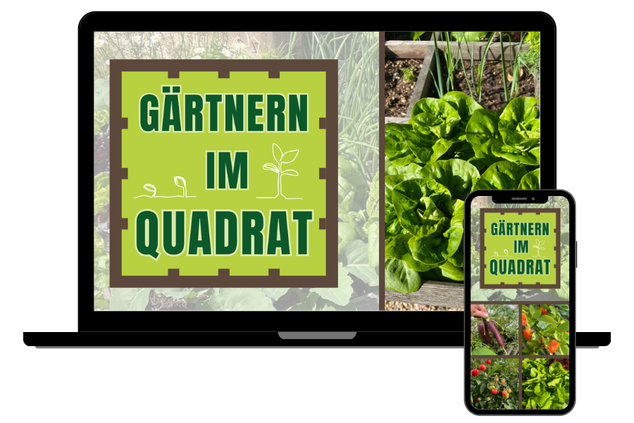 Ein Laptop und ein Smartphone zeigen dasselbe Bild zum Thema Gartenarbeit. Der Bildschirm zeigt ein grünes Schild mit der Aufschrift "GÄRTNERN IM QUADRAT", mit Pflanzensymbolen, Blattgemüse in einem Hochbeet und einem Gitter aus buntem Gemüse.