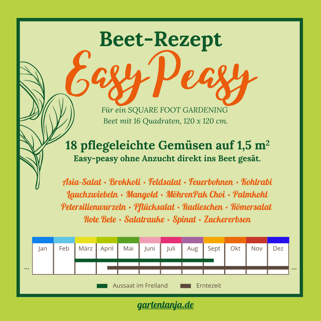 Eine bunte Infografik für einen "Beet-Rezept Easy Peasy"-Gemüsebeetplan. Sie listet 18 Gemüsesorten für den Quadratfußgarten, Aussaat- und Erntemonate (März bis Oktober) und dekorative grüne Blätter auf. Der Text ist auf Deutsch mit einer grünen Umrandung und Gartentipps.